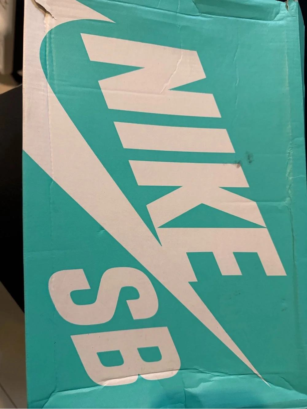 Nike performance sneaker